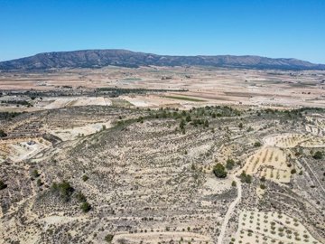 3970huge109000m2buildingplotnearpinoso1703261