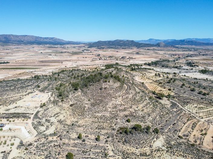 Image No.5-Terre à vendre à Pinoso