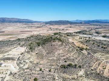 3970huge109000m2buildingplotnearpinoso1703261