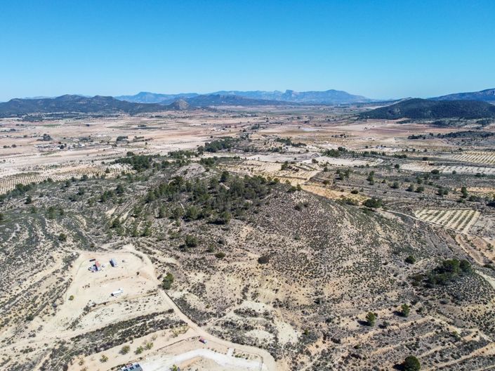 Image No.6-Terre à vendre à Pinoso