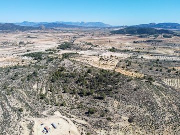 3970huge109000m2buildingplotnearpinoso1703261