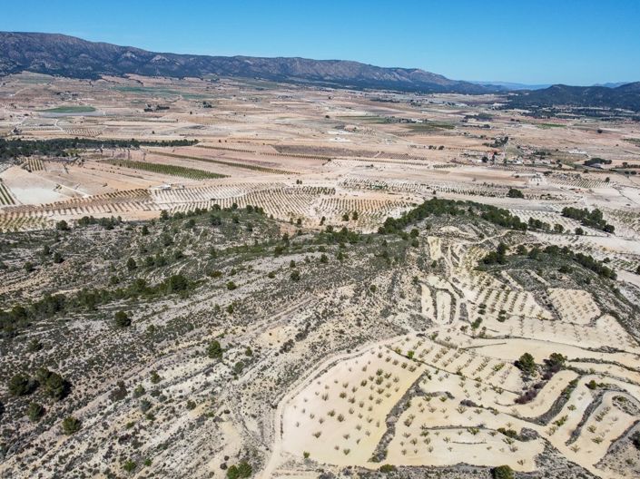 Image No.8-Terre à vendre à Pinoso