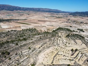 3970huge109000m2buildingplotnearpinoso1703261