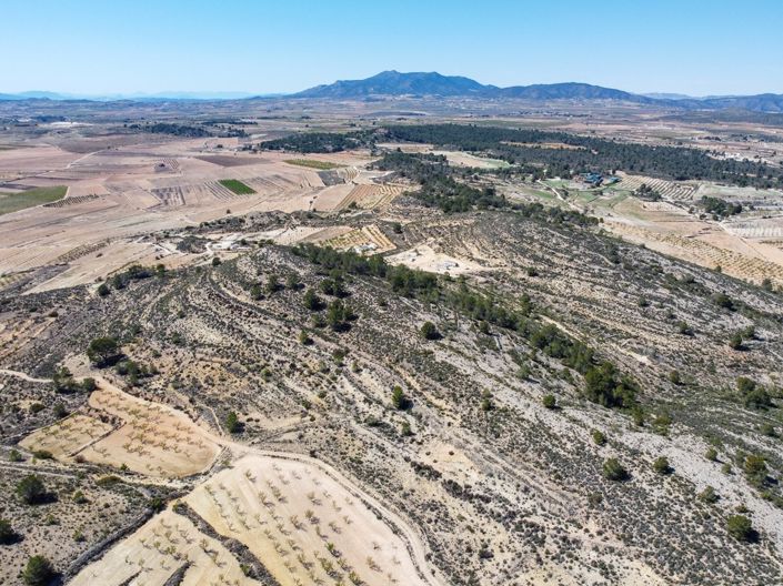 Image No.9-Terre à vendre à Pinoso