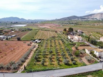 397910057m2buildingplotinhondondelasnieves170