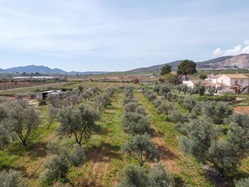 397910057m2buildingplotinhondondelasnieves170