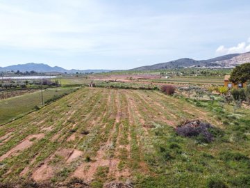 397910057m2buildingplotinhondondelasnieves170