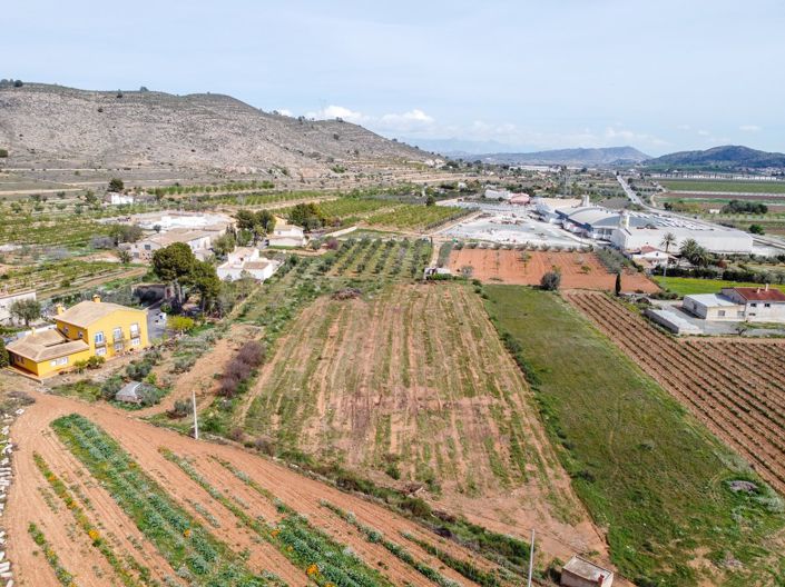 Image No.6-Terre à vendre à Hondón de las Nieves