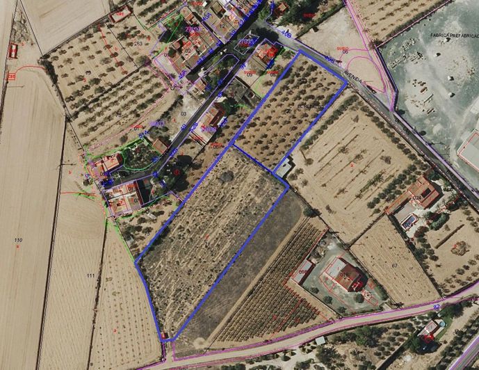 Image No.9-Terre à vendre à Hondón de las Nieves