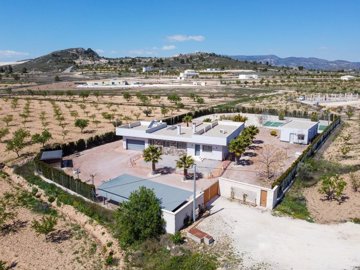 3988modernvillawpoolgymcasitaandpadelcourt270