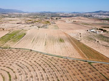 398545687m2buildingplot25kmfrompinoso25032613