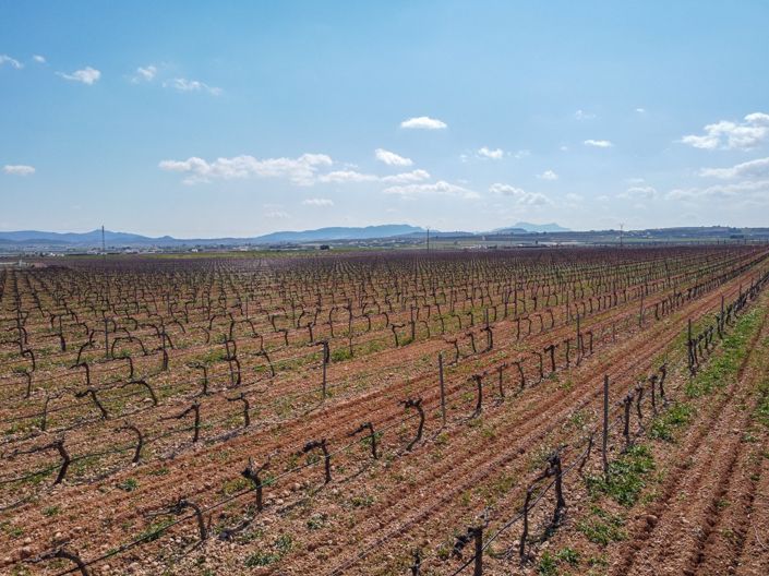 Image No.3-Land for sale