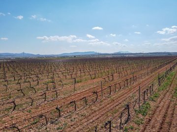 398673648m2buildingplot16kmfrompinoso25032613