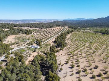 3990fincacoloniadelassalinas020426133742cf332