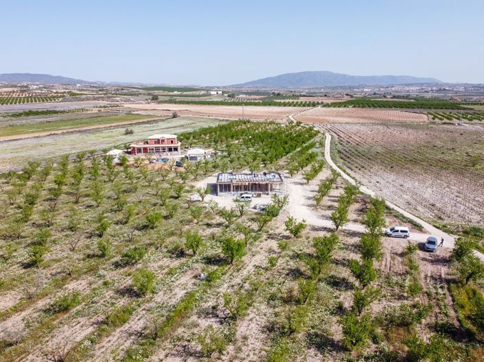 Image No.19-Villa de 3 chambres à vendre à Pinoso