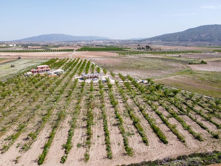 Image No.20-Villa de 3 chambres à vendre à Pinoso