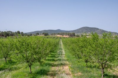 3994labodegaantigua160426185512cf332755