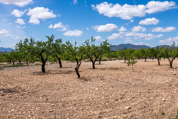 Image No.2-Land for sale