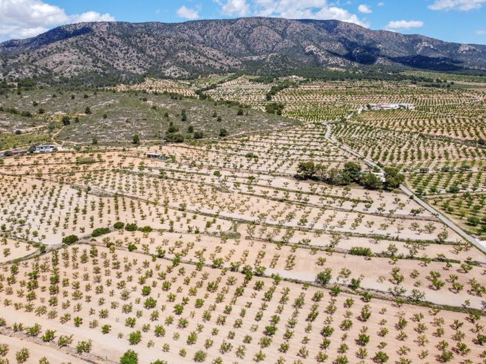 Image No.5-Land for sale