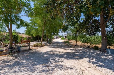 4025renovatedcountryhousewpoolandcherryorchar