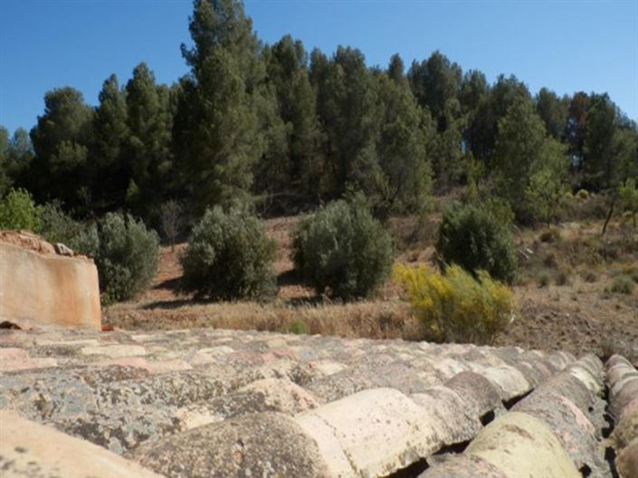 Image No.11-Villa à vendre à Velez-Rubio