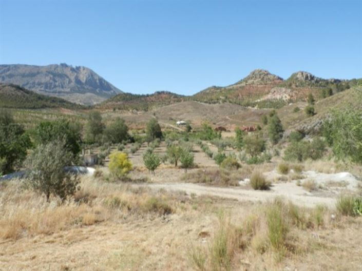 Image No.3-Villa à vendre à Velez-Rubio