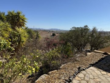 dv1572-villa-for-sale-in-los-gallardos-209830