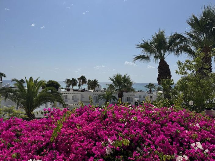 Image No.5-3 Bed Townhouse for sale