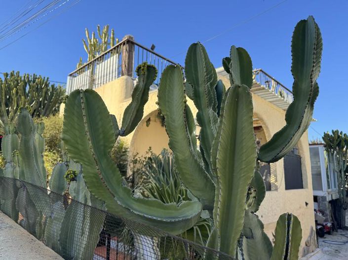 Image No.56-3 Bed Villa for sale