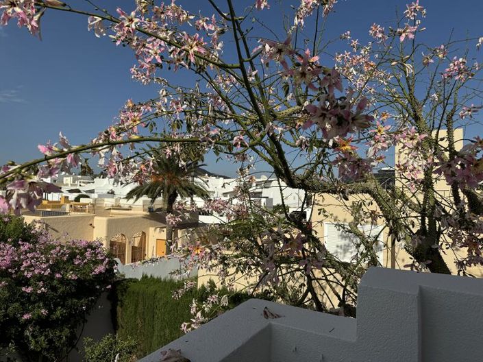 Image No.30-3 Bed Villa for sale