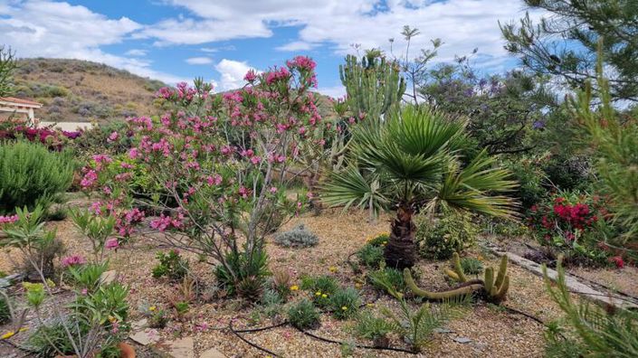 Image No.54-3 Bed Villa for sale