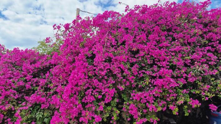 Image No.50-3 Bed Villa for sale