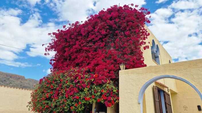 Image No.51-3 Bed Villa for sale