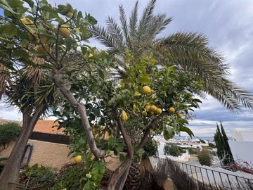 dv1606-villa-for-sale-in-mojacar-31706721-uw