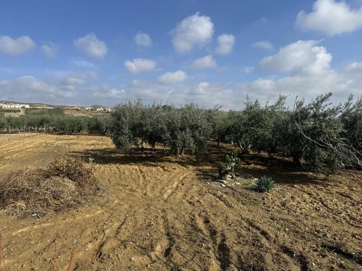 Image No.44-4 Bed Cortijo for sale