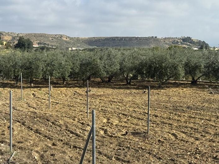 Image No.46-4 Bed Cortijo for sale