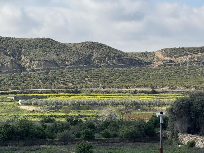 Image No.50-4 Bed Cortijo for sale