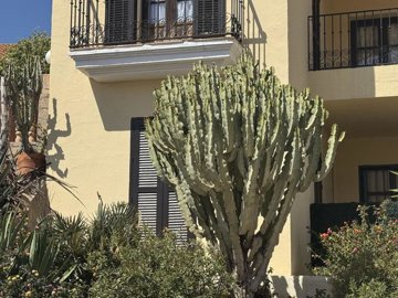 a1555-apartment-for-sale-in-villaricos-664978