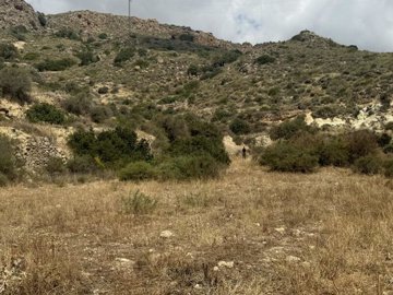 lancariatiz-land-for-sale-in-cariatiz-9198007