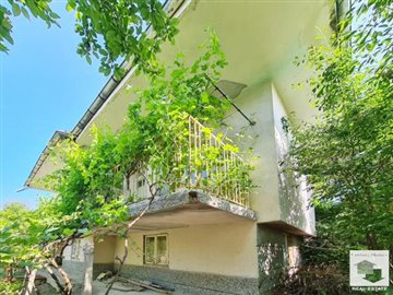 large1685539220