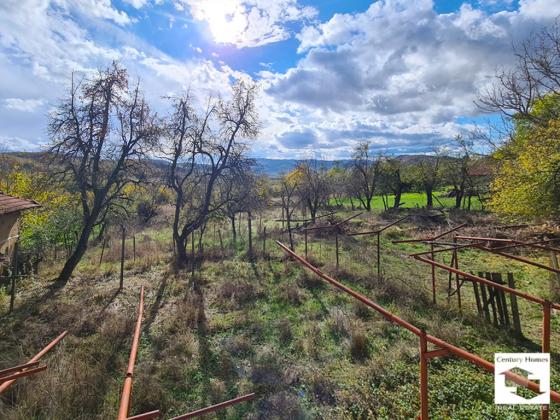 Image No.15-3 Bed House for sale