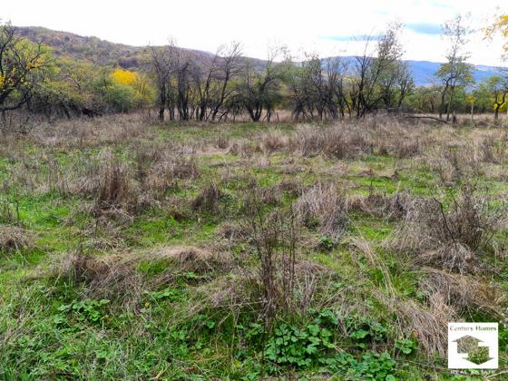 Image No.17-3 Bed House for sale