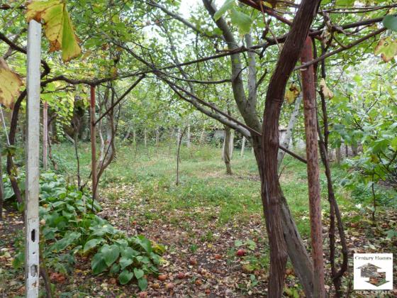 Image No.9-2 Bed House for sale