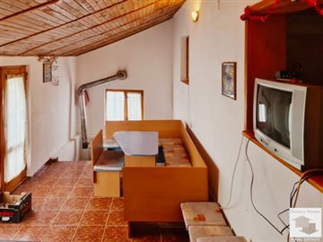 large1619608764