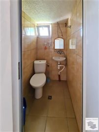 large1684485645