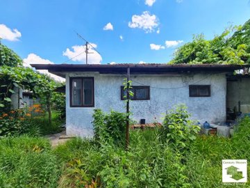 large1718803445