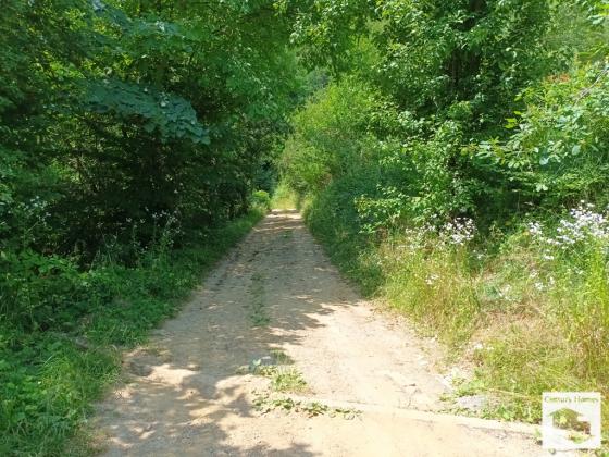 Image No.19-Maison de 3 chambres à vendre à Tryavna