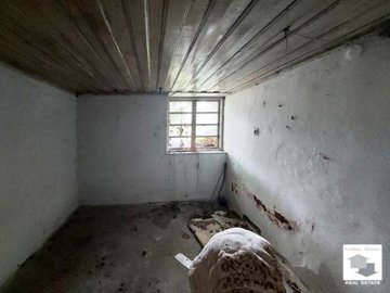 large1720680203