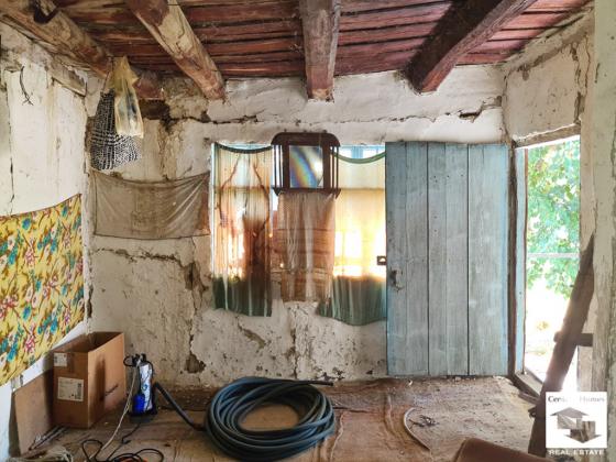 Image No.19-8 Bed House for sale