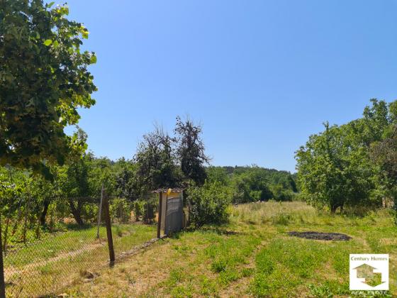 Image No.24-8 Bed House for sale